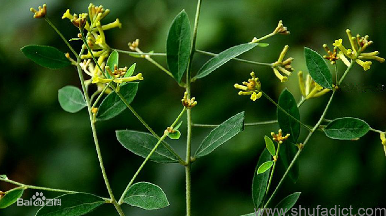 书法忽悠学 一 一些琐碎的问题 翰墨小生